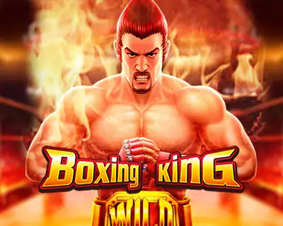 1xbet apk last version