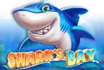 truyện shark